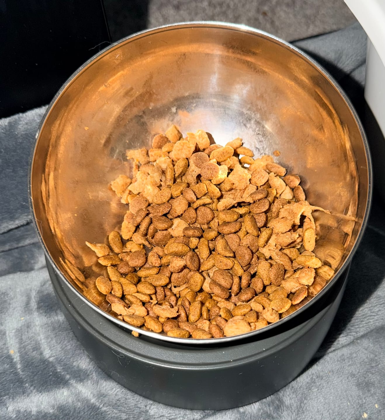 Customer photo review of Anti-Vomiting Stainless Steel Cat Bowl