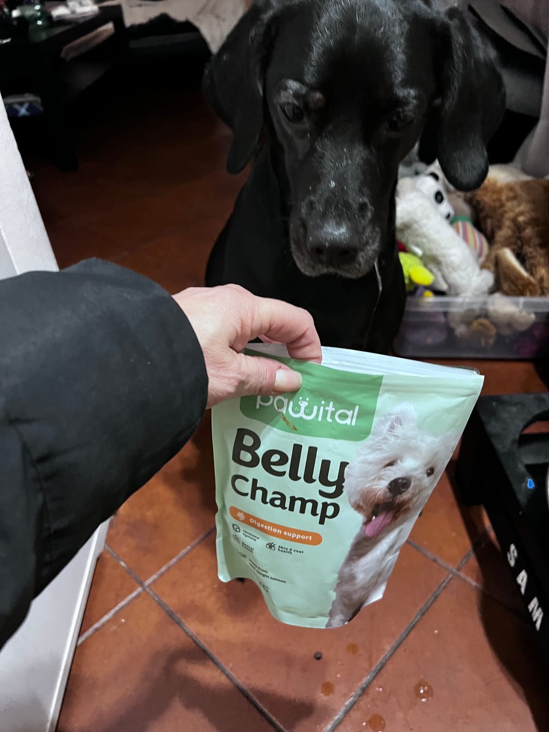 Customer photo review of Belly Champ
