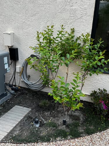 Customer photo review of Aluminum Hose Hanger