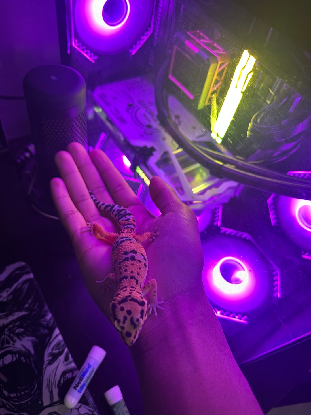 Customer photo review of 100% het Cipher (looking female)