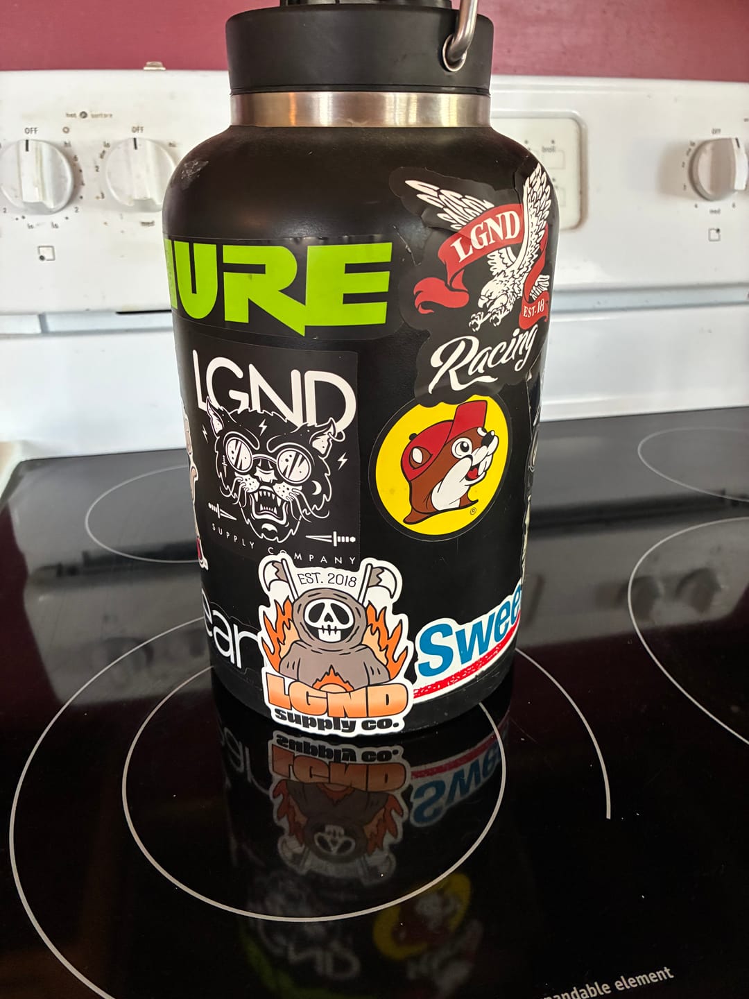 Customer photo review of The Decal Collection - 10 Pack