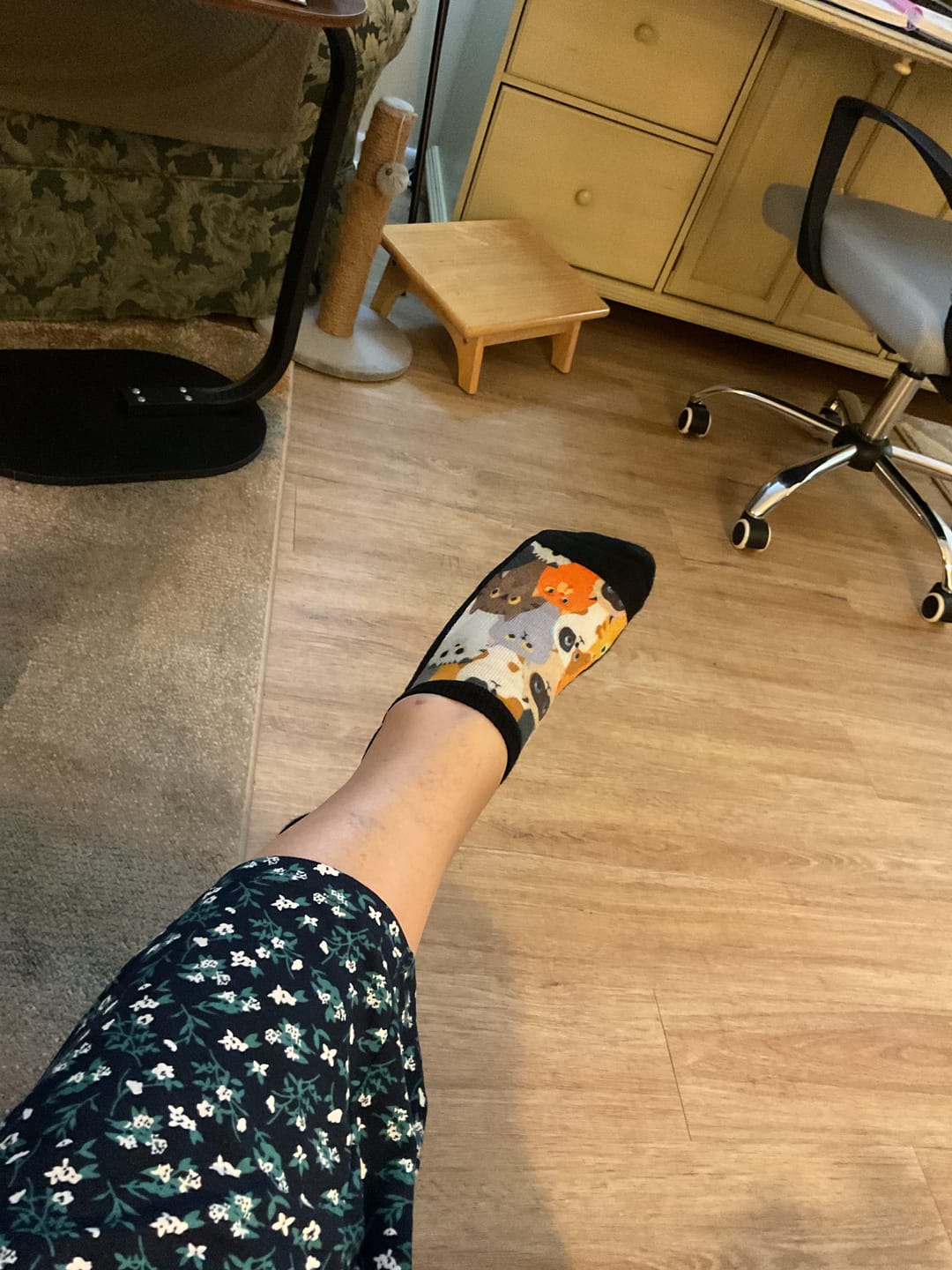 Customer photo review of Cats Ankle Socks