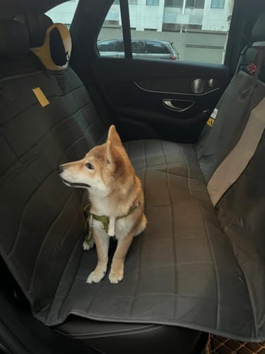Customer photo review of Dogo Waterproof Car Pet Seat Cover Custom Hand Stitched
