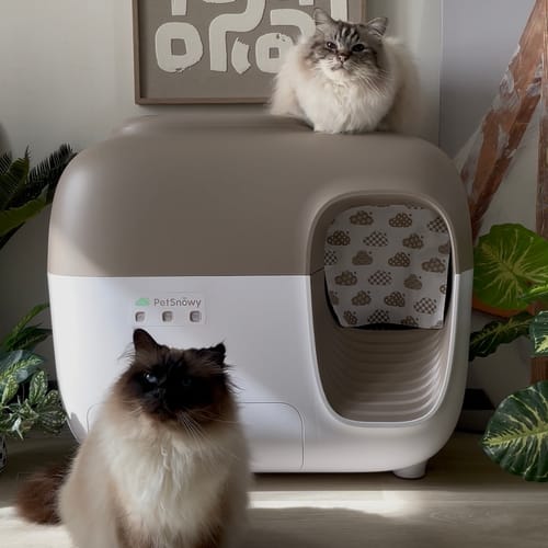 Customer photo review of Self-Cleaning Litter Box