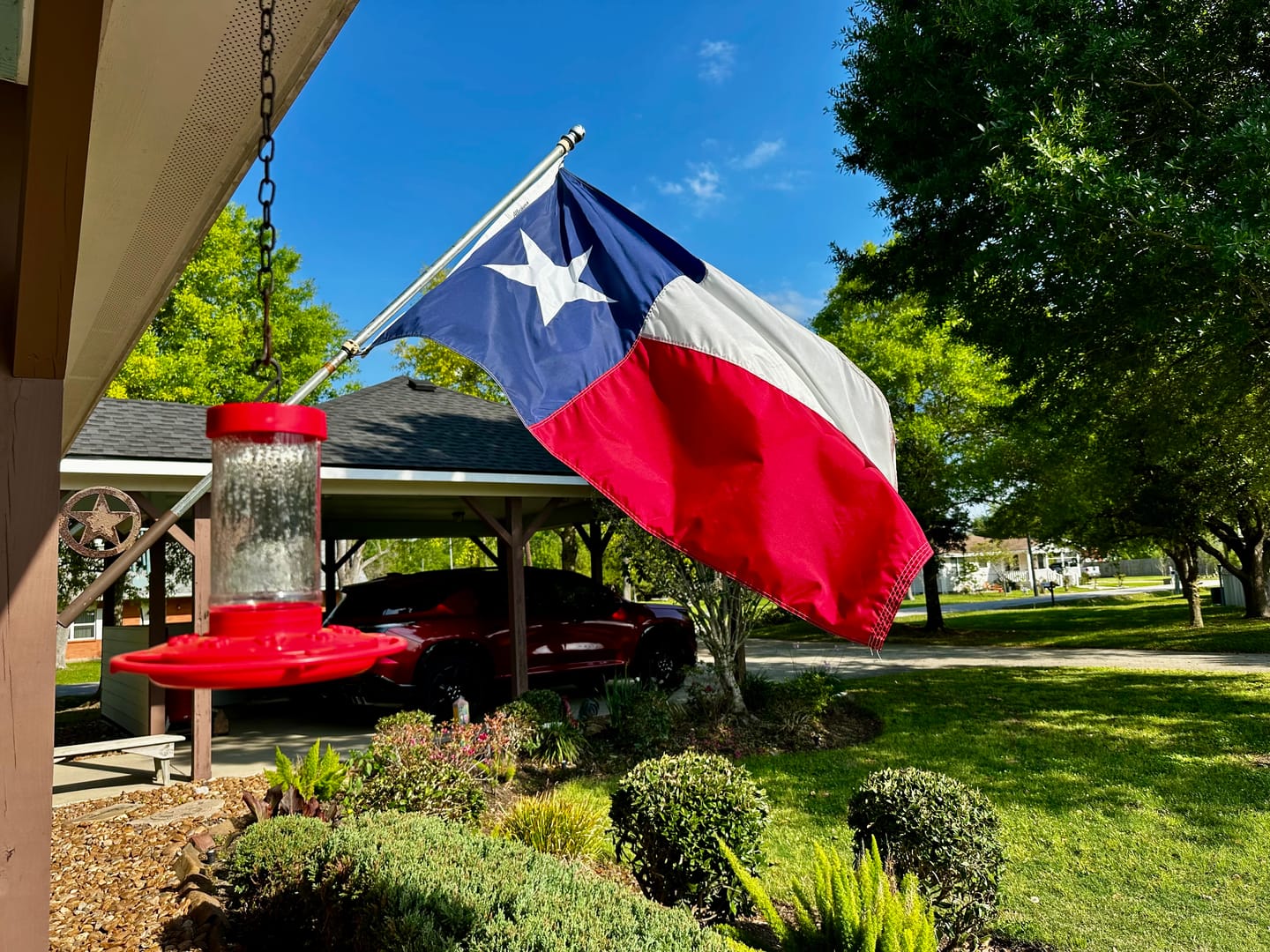 Customer photo review of 3' x 5' Texas Flag