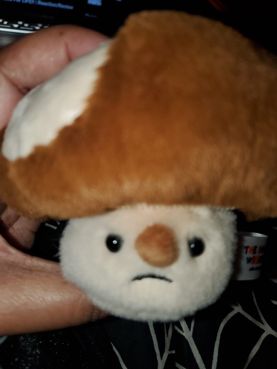 Customer photo review of Forgotten Bitten Shiitake Mushroom (Preorder for Mid March)