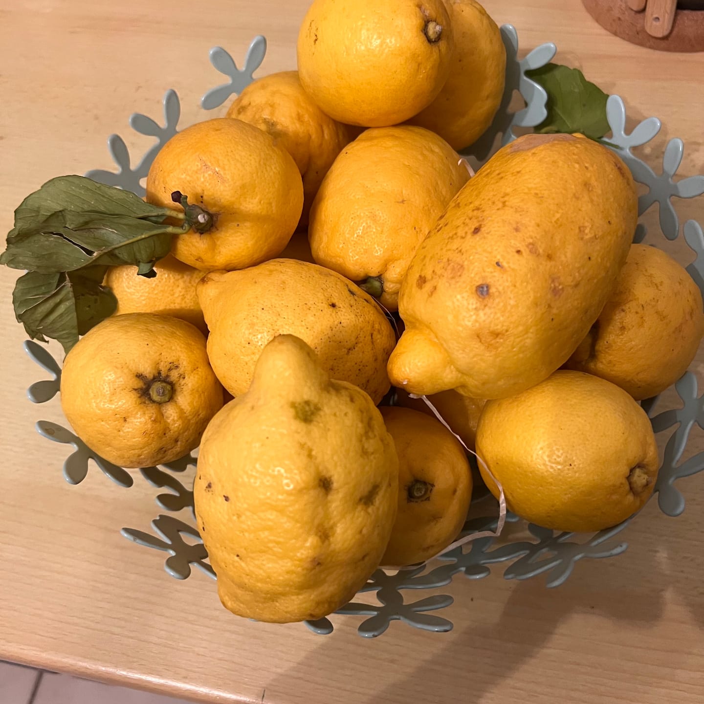 Customer photo review of Zitronen Bio Familie Bilardi Kalabrien 4kg Box Sparpreis %