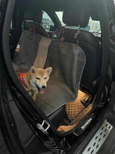 Customer photo review of Dogo Waterproof Car Pet Seat Cover Custom Hand Stitched