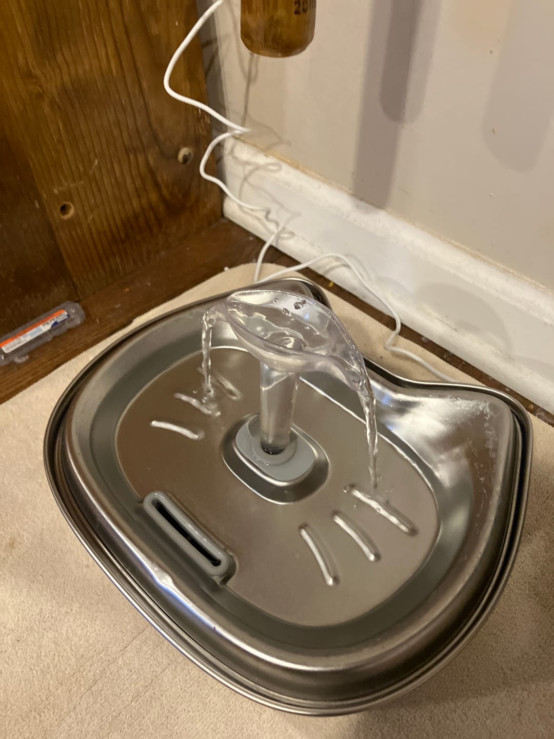 Customer photo review of Cat Water Fountain Replacement Pump