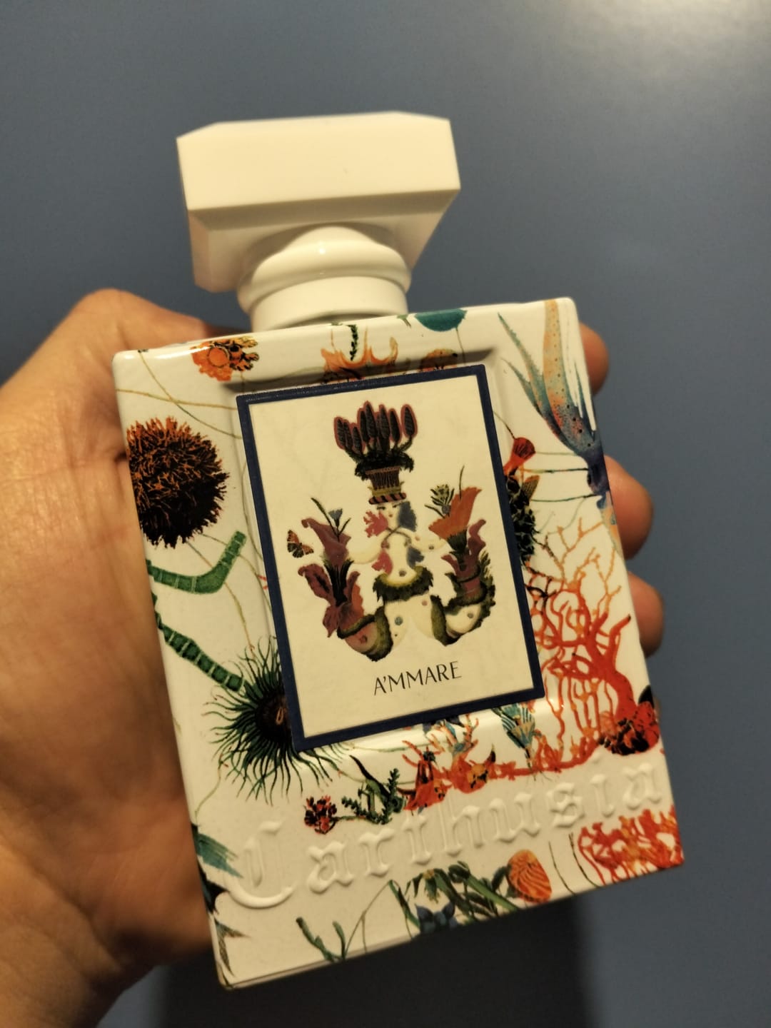 Customer photo review of CARTHUSIA - A'MMARE