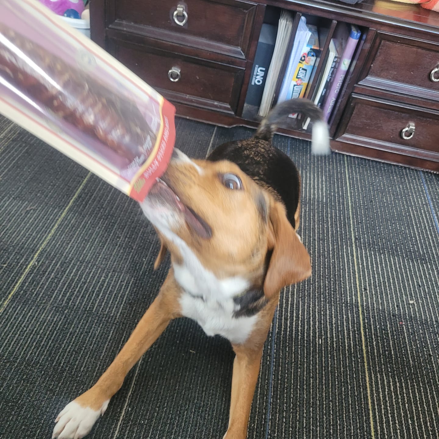 Customer photo review of 12 Inch Trachea Wrapped in Jerky