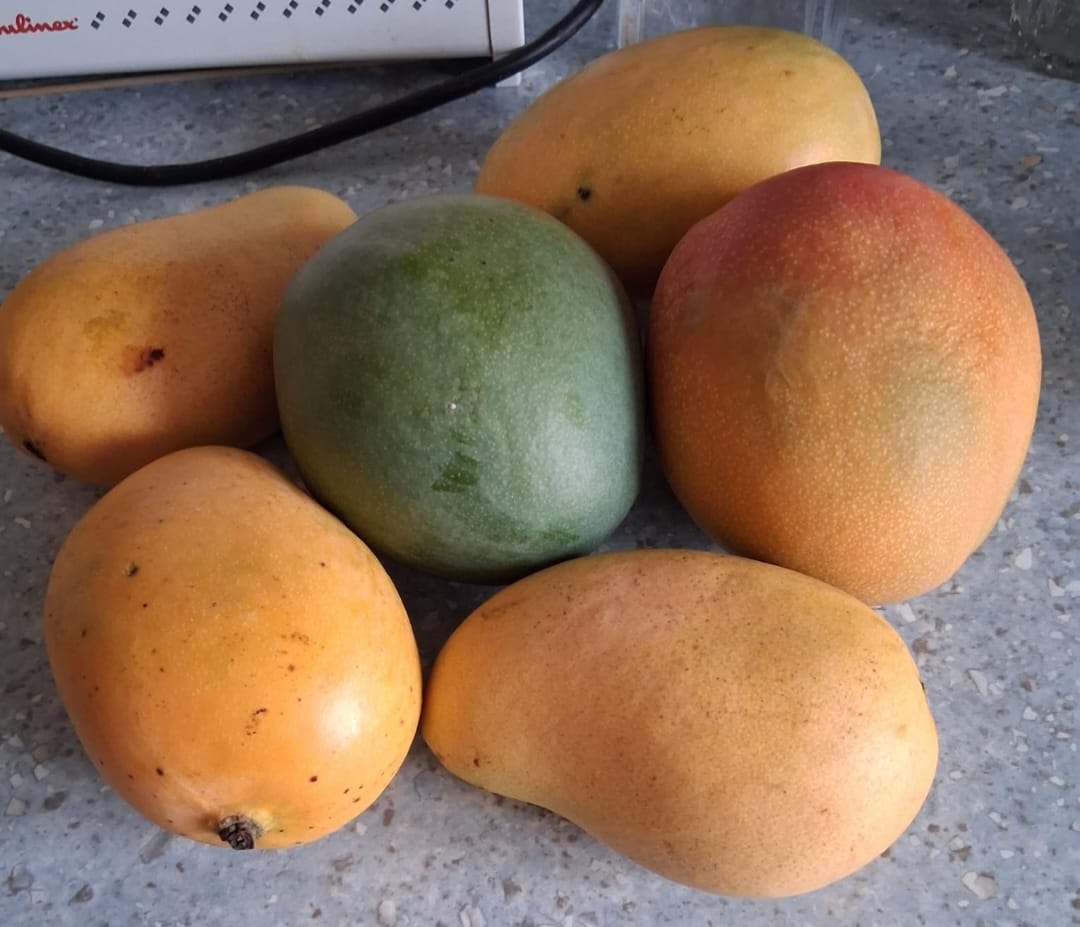 Customer photo review of Mango-Trio Mix-Box 2kg Sonderaktion %