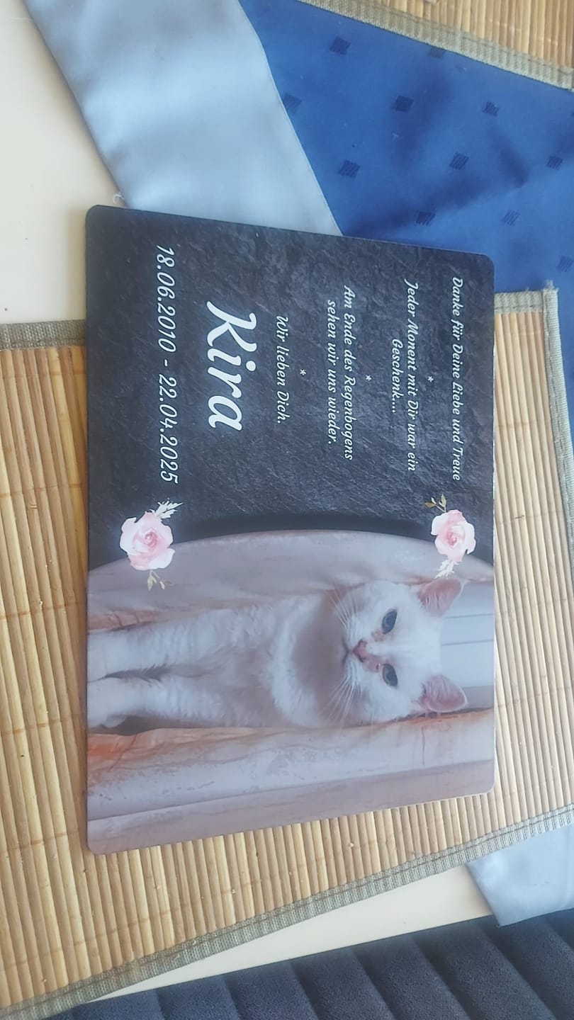 Customer photo review of Katzen Gedenktafel mit Foto & Spruch (UV- & Wetterfest)