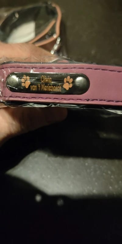 Customer photo review of Custom Leather Dog Collar Leash for Small Medium Large Dogs