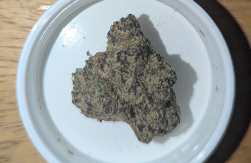 Customer photo review of Blue Dream Flower