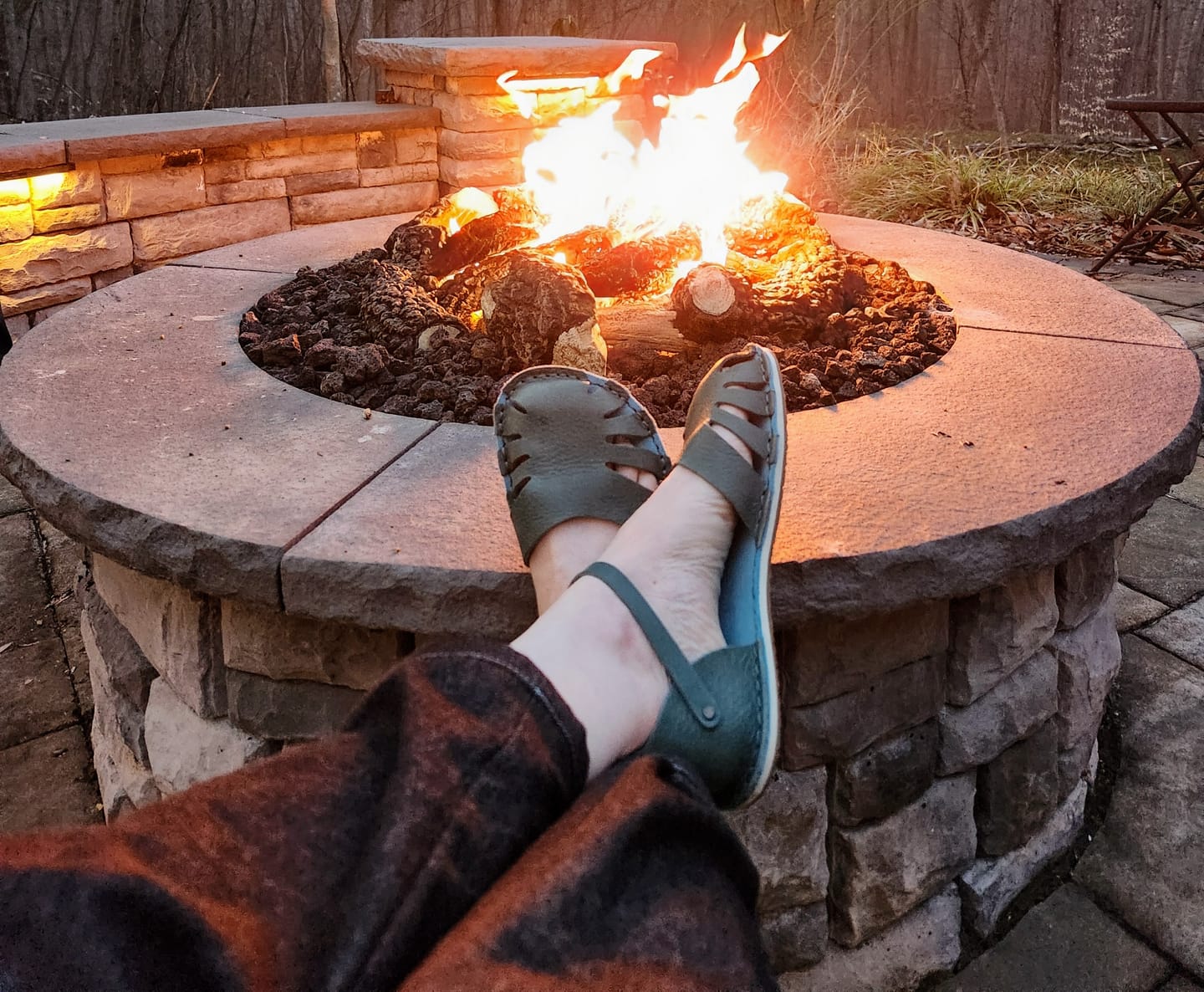 Customer photo review of Monstera Volanato - Avion