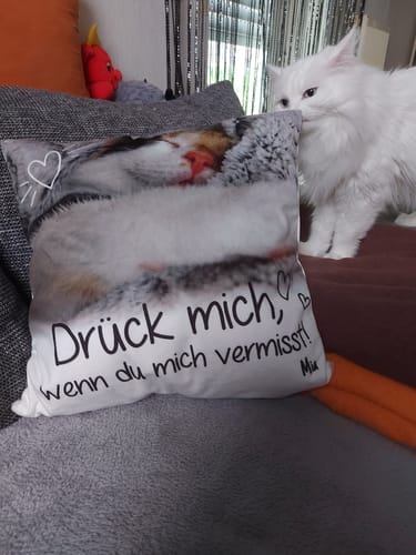 Ein Rezensent zeigt sein personalisiertes Kissen auf einer Couch, während eine weiße Katze daran schnuppert.