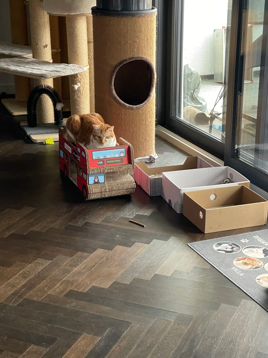 Customer photo review of Doppeldecker-Bus