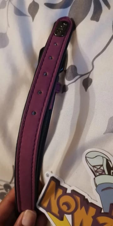 Customer photo review of Custom Leather Dog Collar Leash for Small Medium Large Dogs