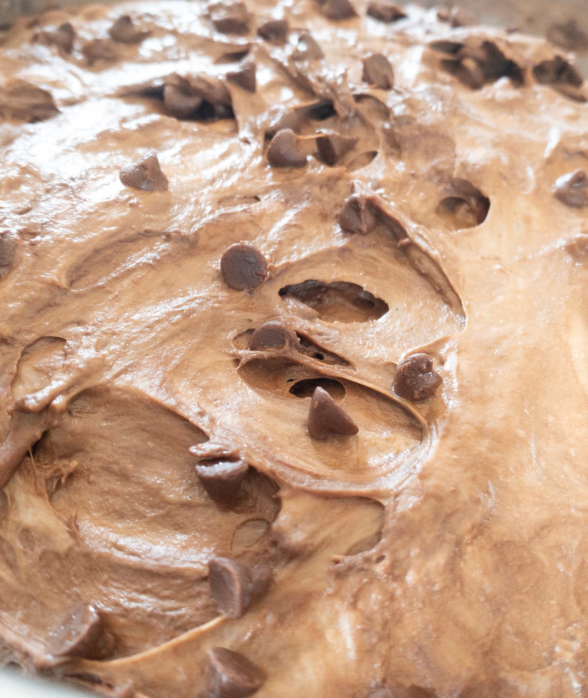 Customer photo review of Live 118 Year Old Valrhona CHOCOLATE Sourdough Starter Includes Maintenance PDF & Chocolate Noir Loaf Recipe