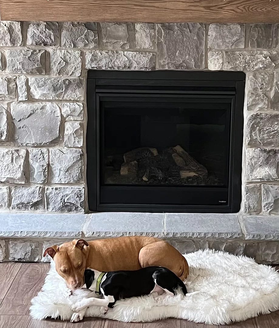 Customer photo review of Faux Fur Orthopedic Pup Rug - Curve White with Brown Accents