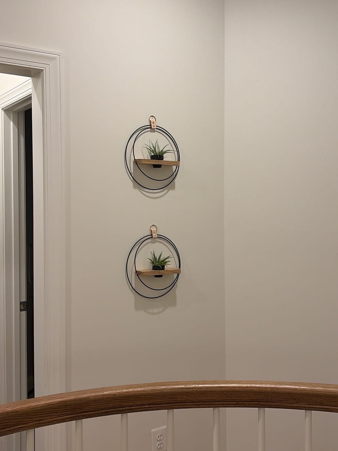 Customer photo review of Air Plant Shelf + Pot Duo