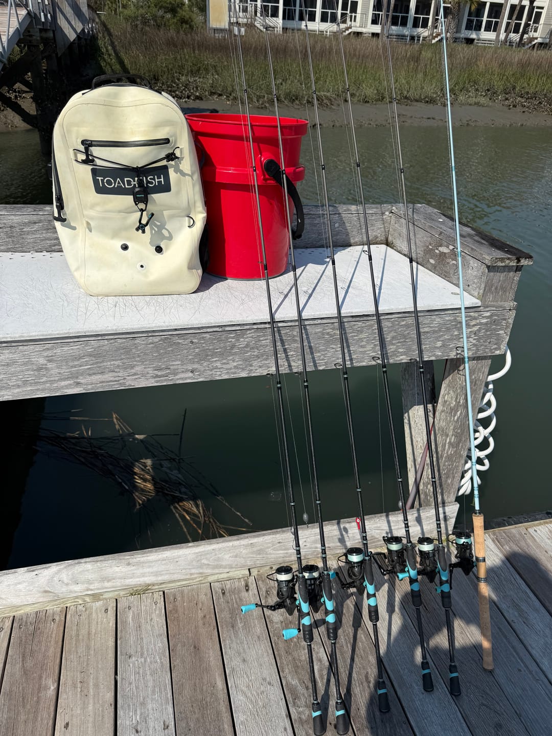 Customer photo review of Carbon Elite II Spinning Reels