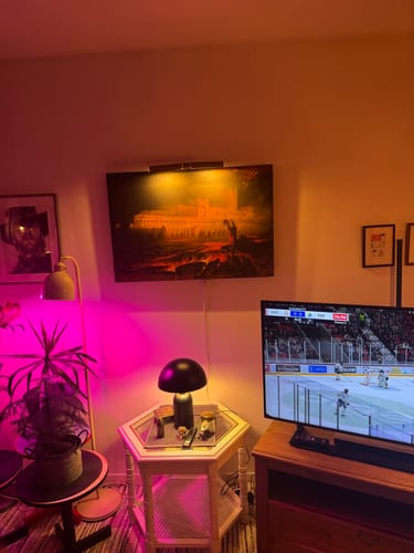 Customer photo review of Pandemonium | John Martin | 1841