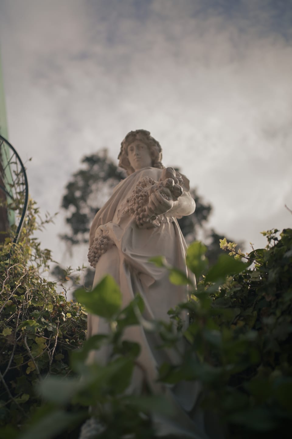 Customer photo review of Simera 28mm f/1.4