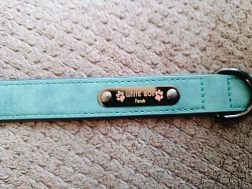 Customer photo review of Custom Leather Dog Collar Leash for Small Medium Large Dogs