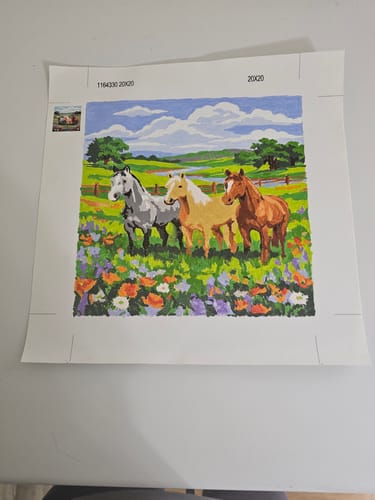 Customer photo review of Pastoral Horse Harmony
