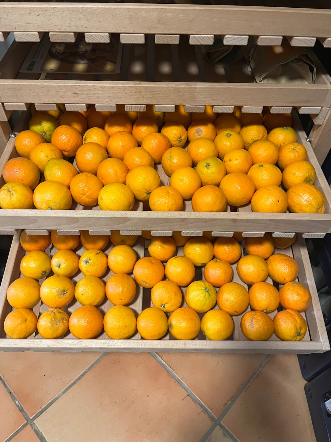 Customer photo review of Saft-Orangen Bio aus Sizilien