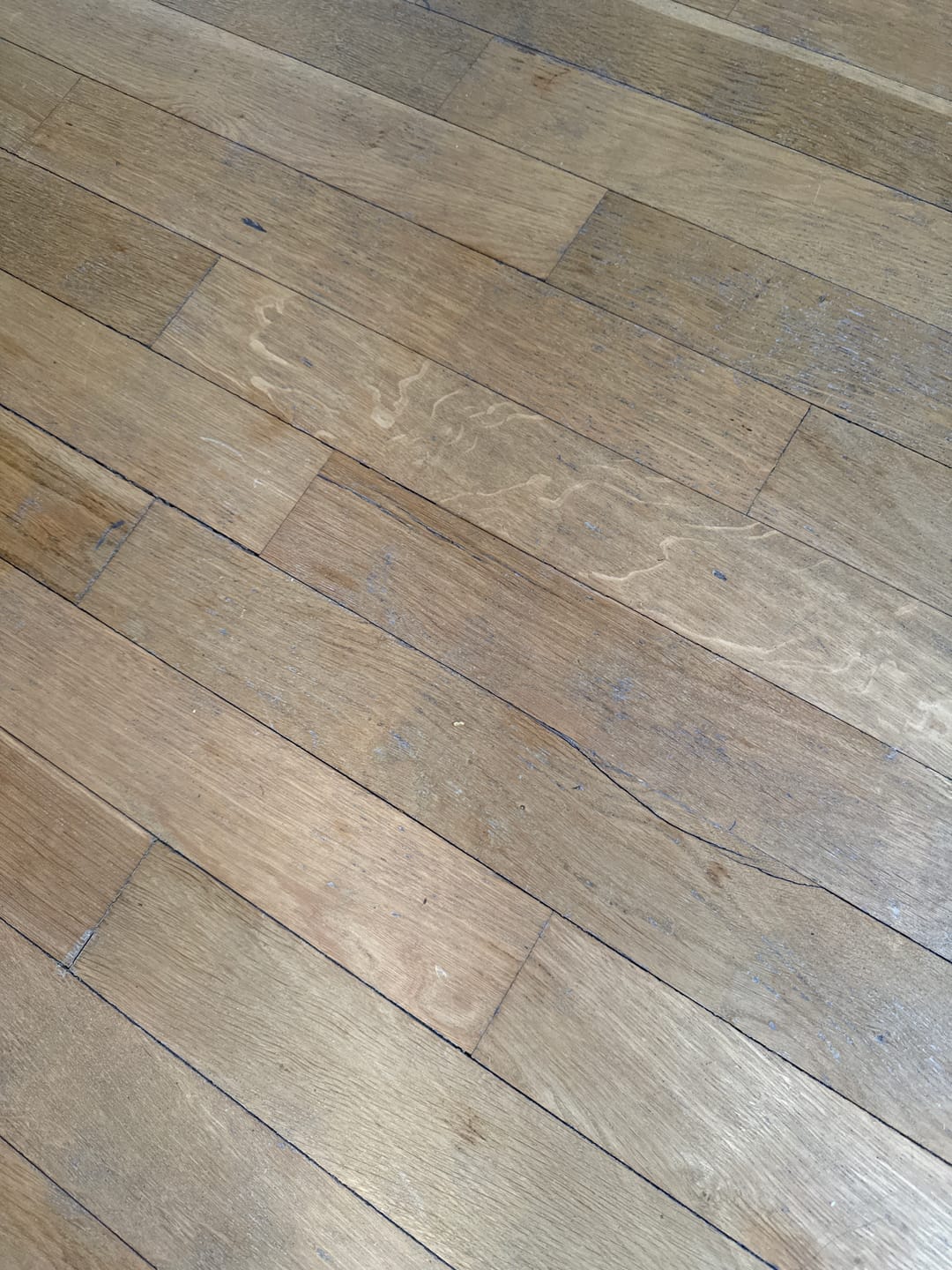Customer photo review of Cellsius Premium Waschbeutel - Verdoppeln Sie die Lebensdauer Ihrer Textilien
