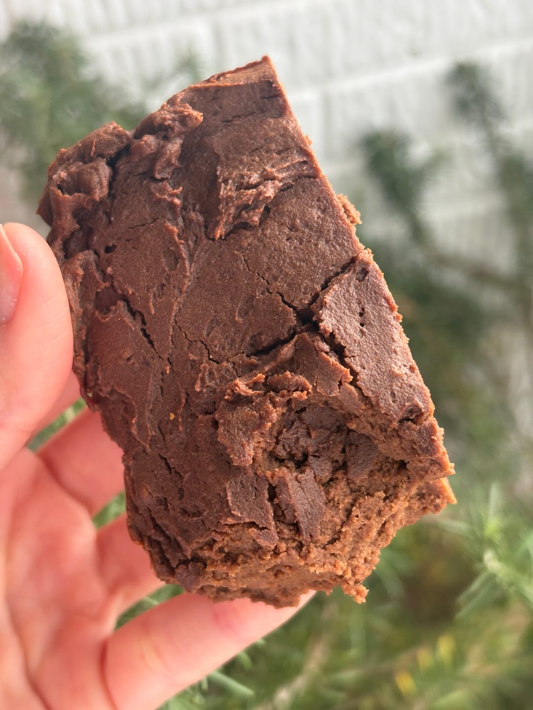 Customer photo review of Proteína Vegana