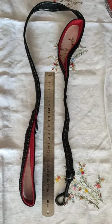 Customer photo review of Double Handle Heavy Duty Nylon Dog Leash For Dogs