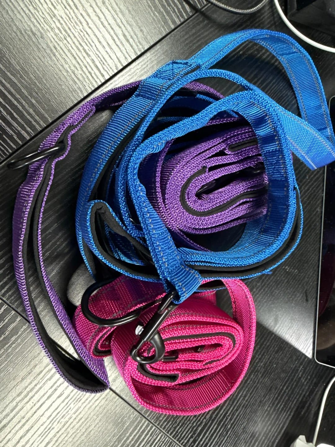 Customer photo review of Double Handle Heavy Duty Nylon Dog Leash For Dogs