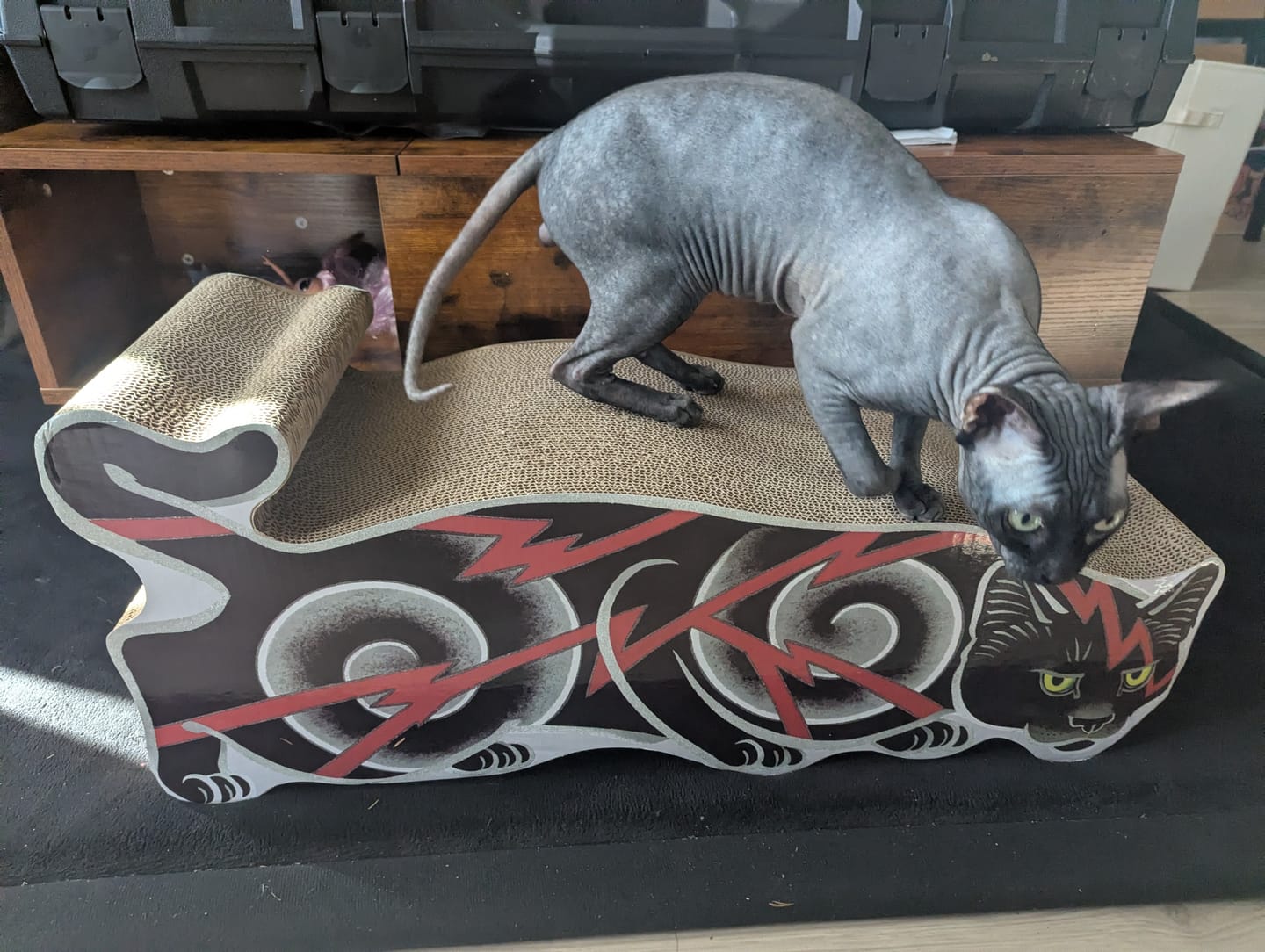 Customer photo review of Electric Cat Scratcher