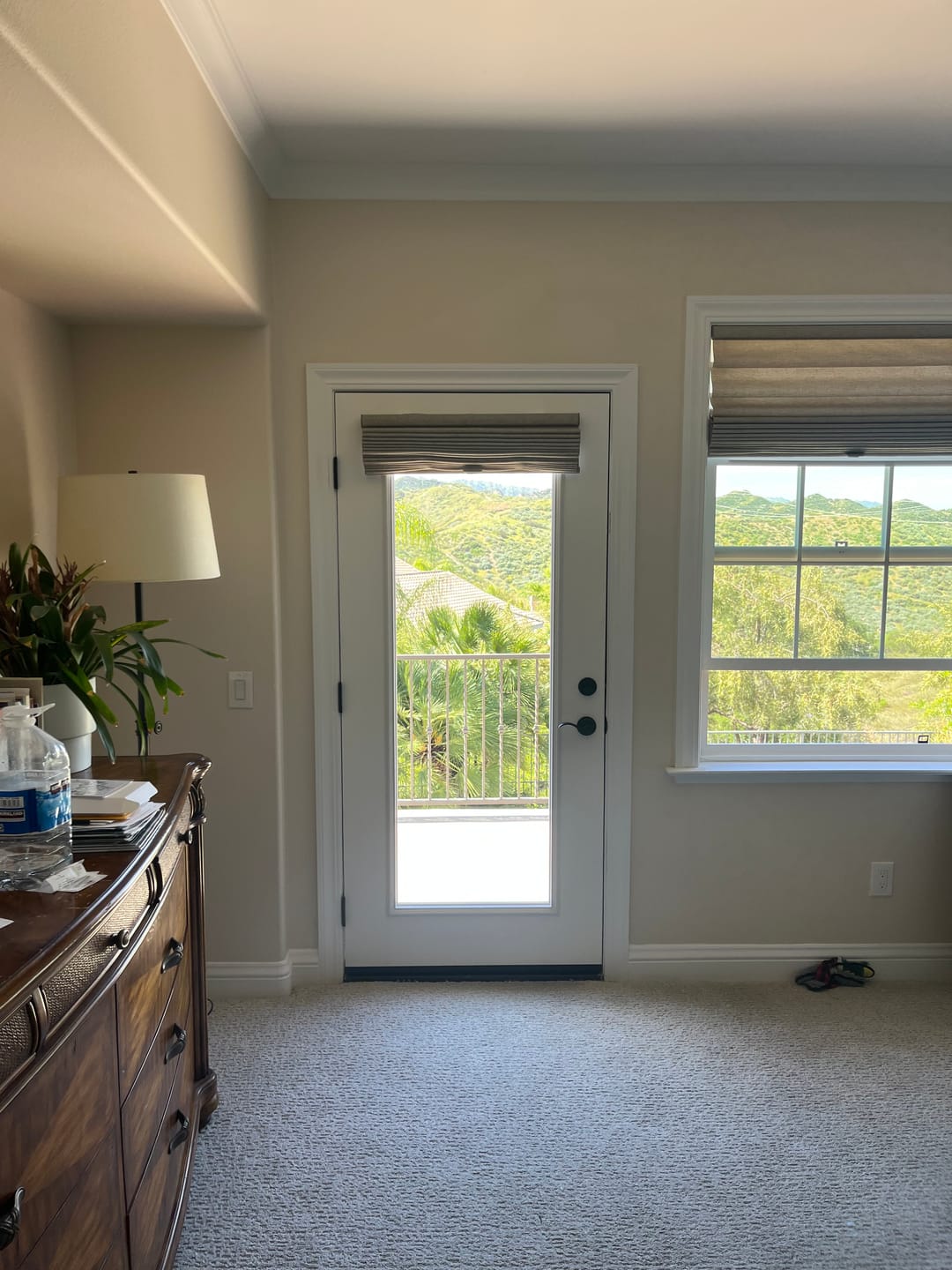 Customer photo review of Smooth Fiberglass Entry Door Slab (6 Panel)