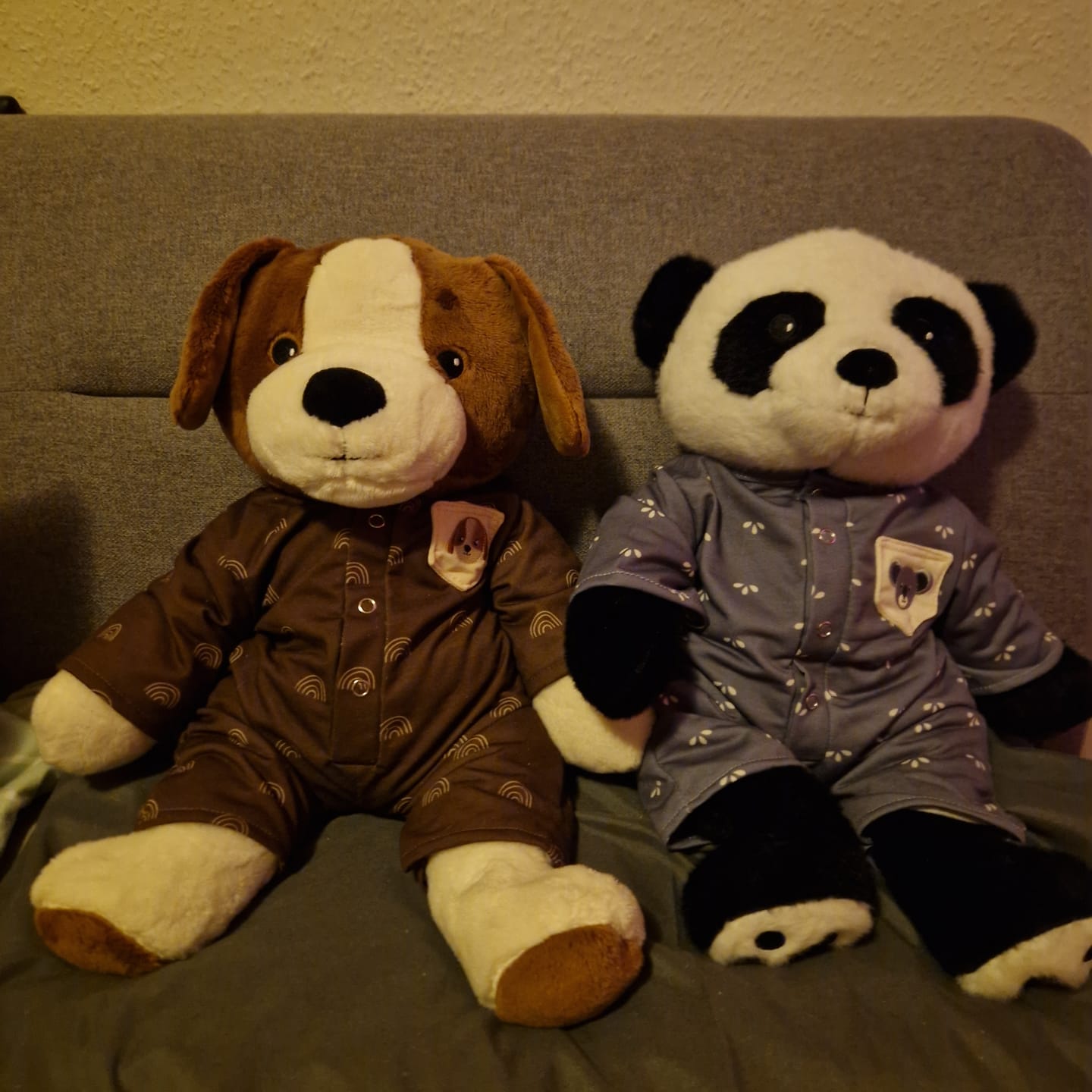 Customer photo review of Hond Kleding Lotgenootje