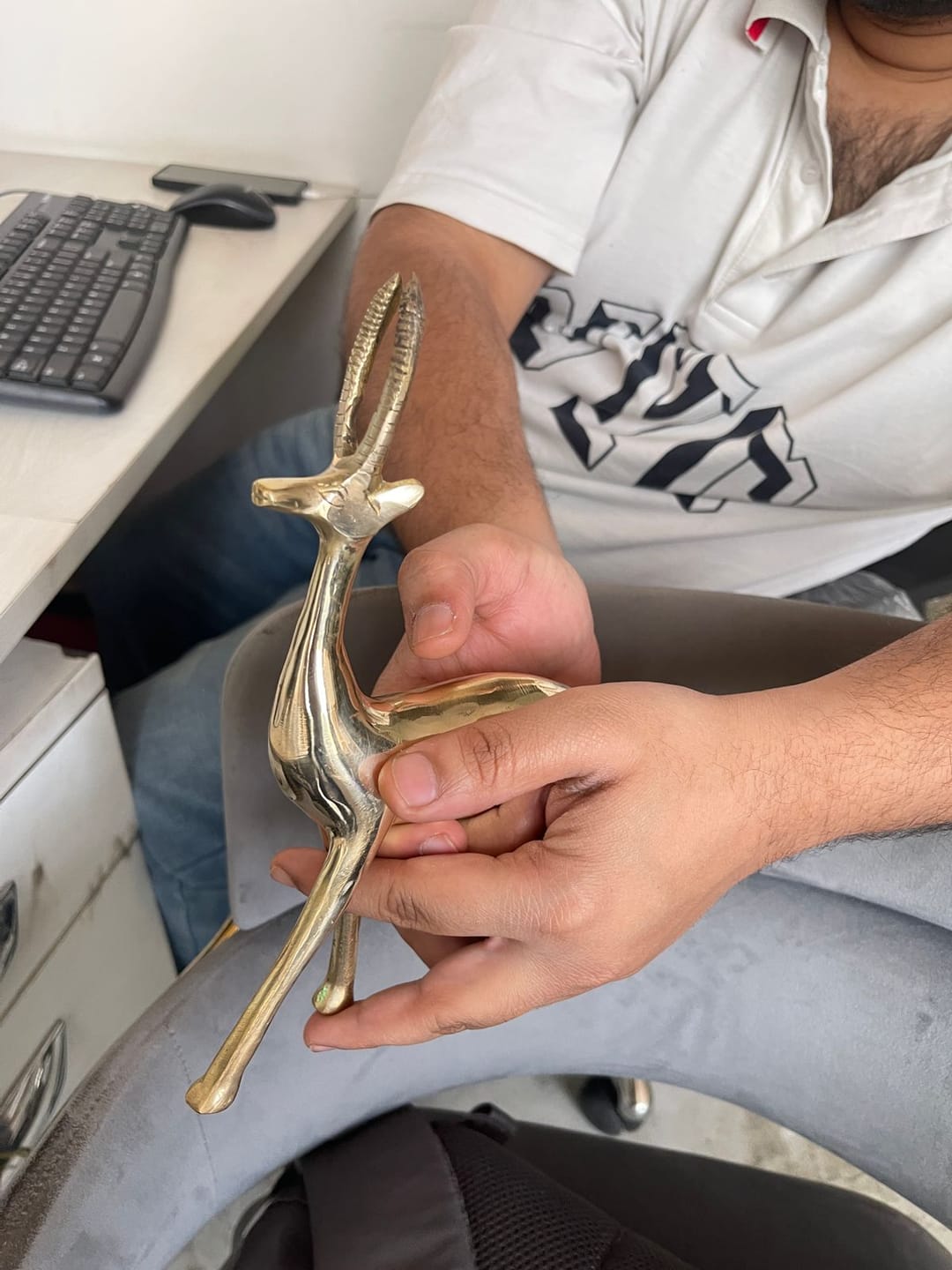 Customer photo review of Handcrafted Brass Deer Idol Vastu Remedy for Stability, Stamina and Energy Balance for WNW Zone, Home and Office Placement | 12 x 22 cm | 820 gm