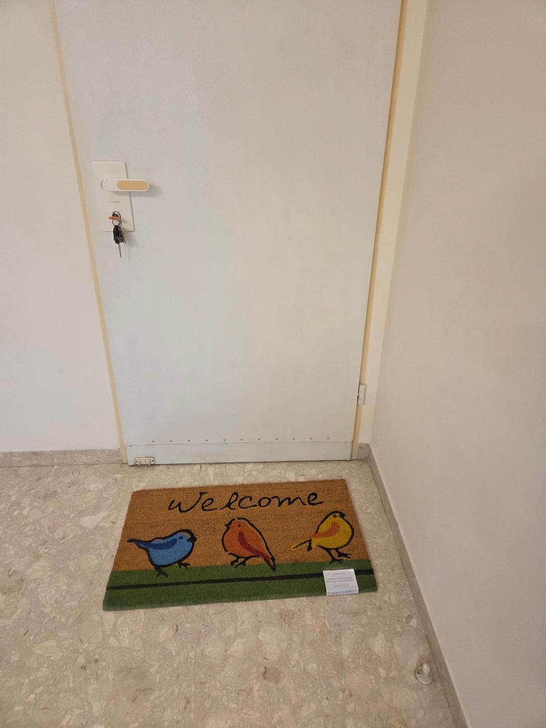Customer photo review of שטיח כניסה מעוצב - ציפורים צבעוניות