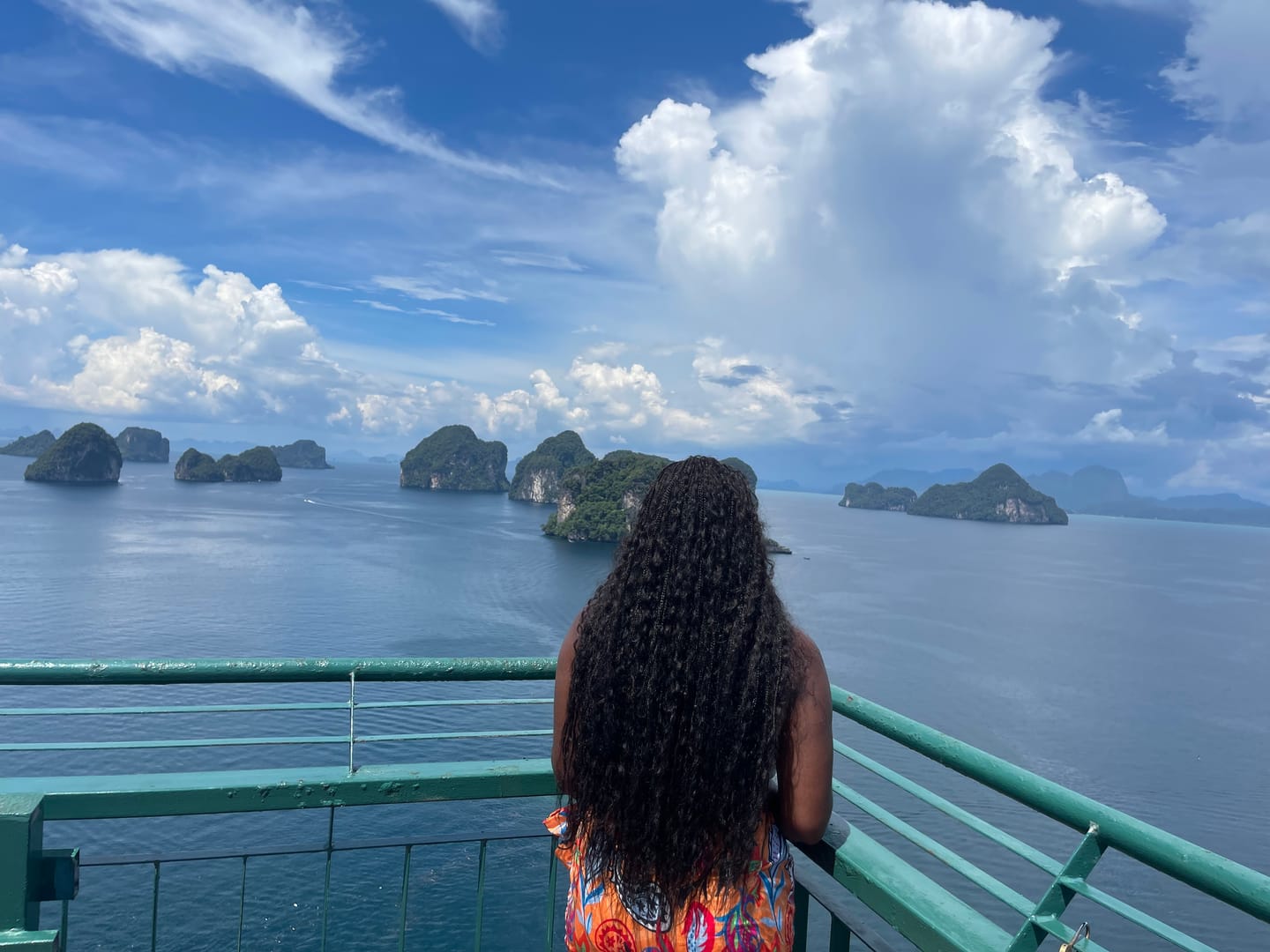 Customer photo review of Double Drawn Burmese Wet and Wavy Human Braiding Hair