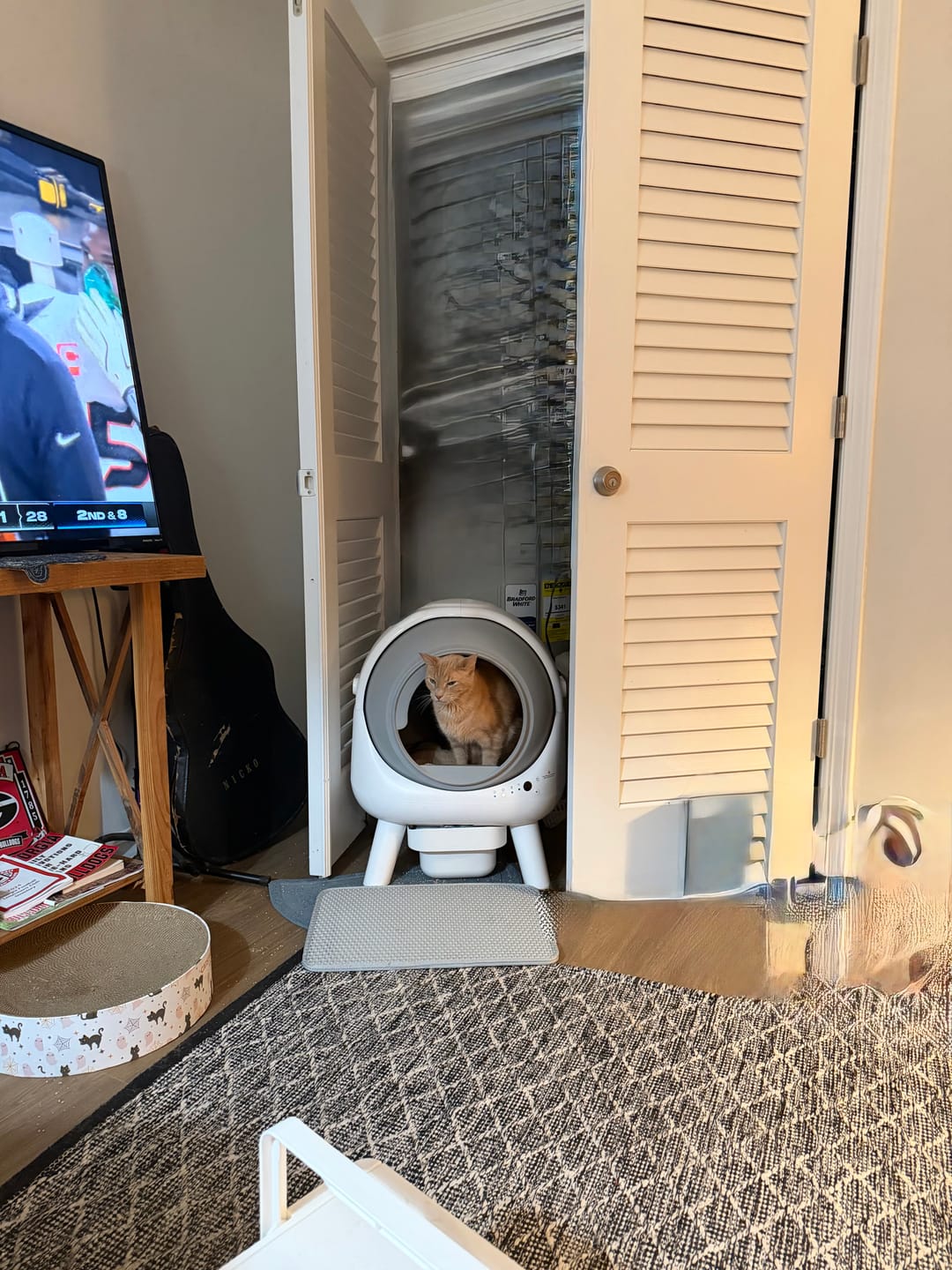 Customer photo review of Pet Parent's Choice: Mixed Cat Litter & Trash Bag Bundle