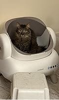 Customer photo review of Neakasa M1 Plus Lite - Litière Chat Autonettoyante Ouverte