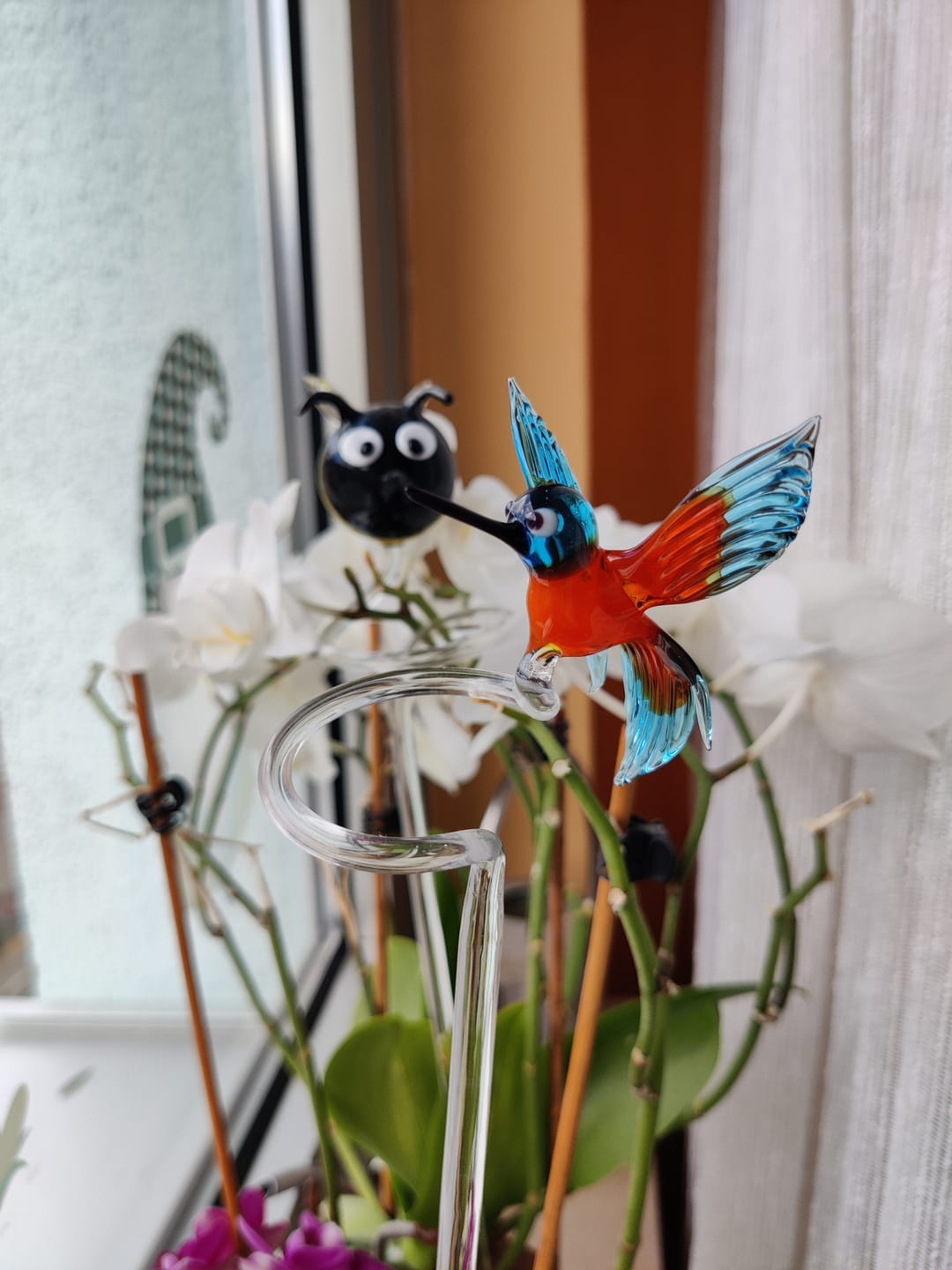 Customer photo review of Orchideenstab Eisvogel