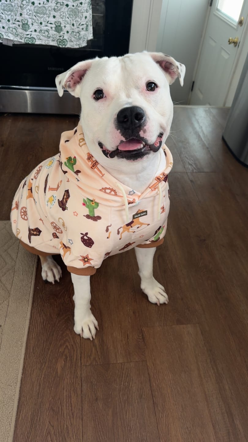 Customer photo review of Rodeo Dog Hoodie