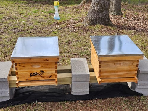 Customer photo review of MayBee Hives 10 Frame Best Beekeeping Starter Kit Include 22 pcs Beekeeping Tool,Wax Coated Langstroth Deep Brood Bee Box with 100% Beeswax Plastic Foundation,Beekeeping Veil for Beginners Beekeeper
