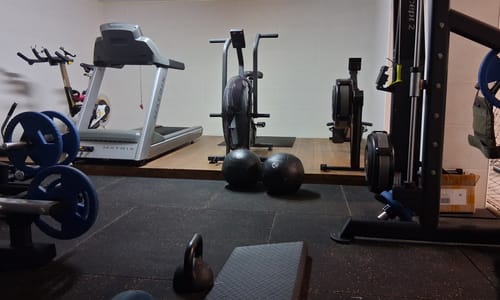 Customer's two black medicine balls on the floor of a home gym, with a treadmill and other equipment in the background.