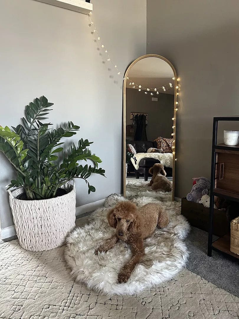Customer photo review of Faux Fur Orthopedic Pup Rug - Curve White with Brown Accents