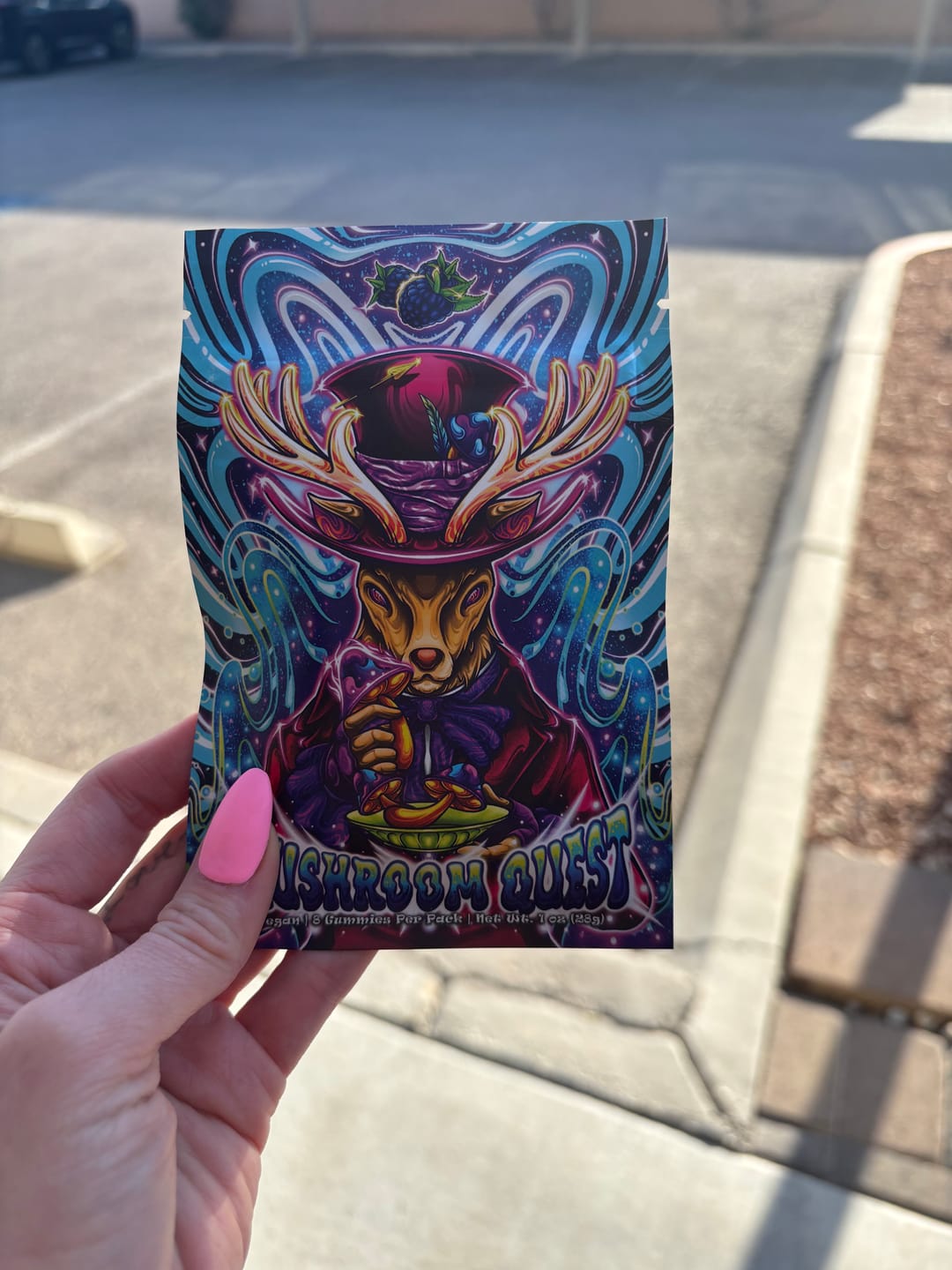Customer photo review of Mushroom Quest